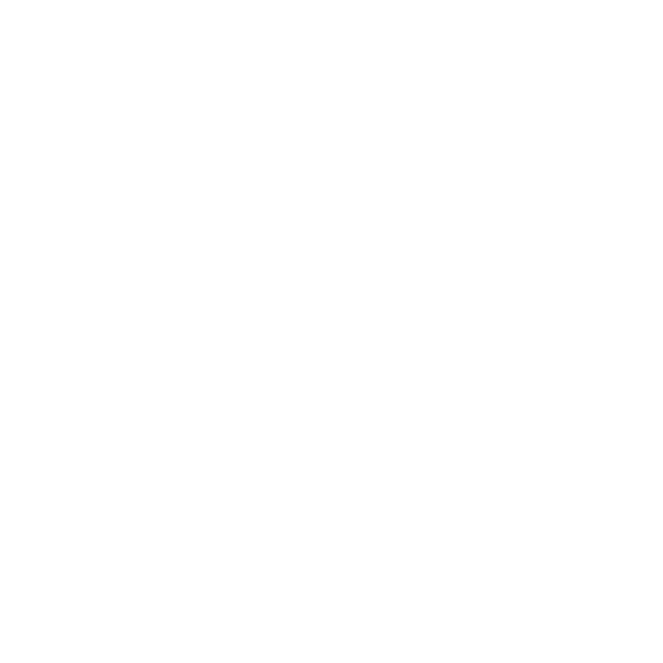 Ecovadis Silver